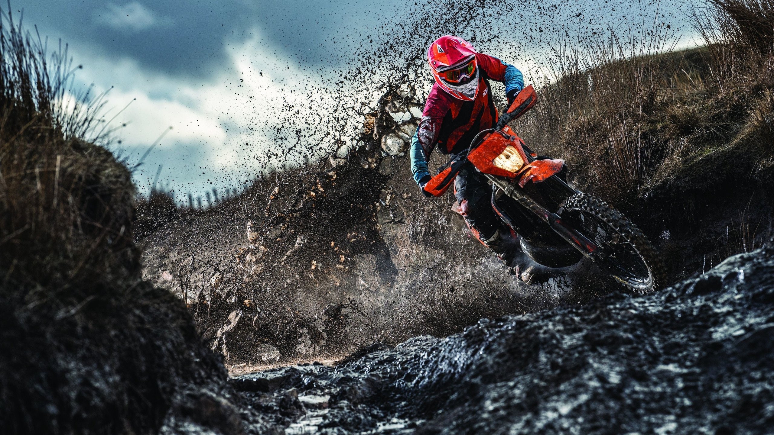 森林狼冲垮火箭，文班亚马关键制胜，天赋与纪律的终极碰撞